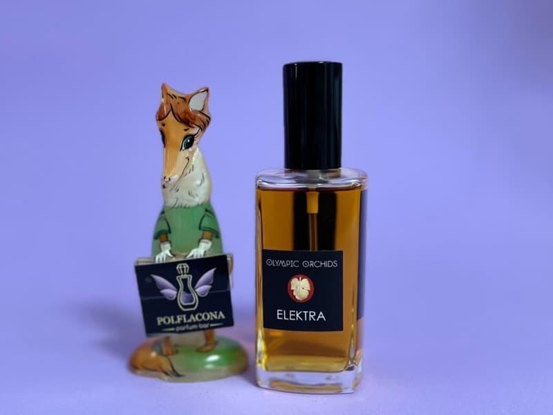Olympic Orchids Elektra